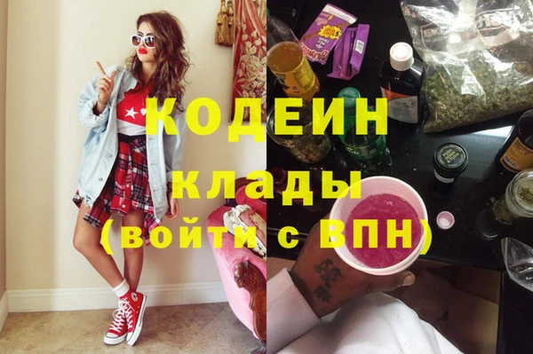 шишки Козловка