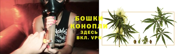 шишки Козловка