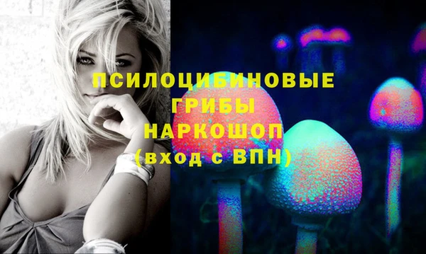 шишки Козловка