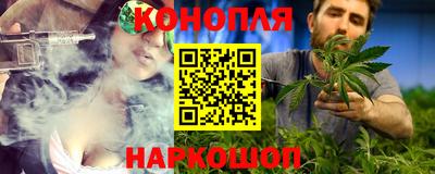 сатива Кингисепп