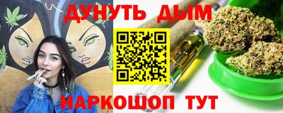 сатива Кингисепп
