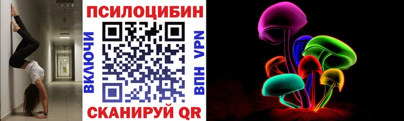 даркнет сайт  Киров  KRAKEN   Псилоцибиновые грибы Cubensis 
